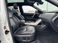 Land Rover Range Rover Evoque 2.0 TD4 Autobiography |PANO|LEDER|LED|ELEK. STOELE Weiß - thumbnail 6