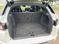 Land Rover Range Rover Evoque 2.0 TD4 Autobiography |PANO|LEDER|LED|ELEK. STOELE Weiß - thumbnail 9