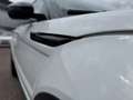 Land Rover Range Rover Evoque 2.0 TD4 Autobiography |PANO|LEDER|LED|ELEK. STOELE Weiß - thumbnail 35