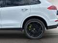 Porsche Cayenne S E-Hybrid Platnum Edition NAVI/LEDER/PANO/BI-XENO Weiß - thumbnail 10