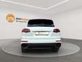 Porsche Cayenne S E-Hybrid Platnum Edition NAVI/LEDER/PANO/BI-XENO Weiß - thumbnail 6