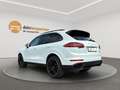 Porsche Cayenne S E-Hybrid Platnum Edition NAVI/LEDER/PANO/BI-XENO Weiß - thumbnail 7