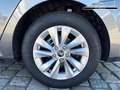 Skoda Octavia Combi Selection 2,0 TDI 150 PS DSG-5 Jahre Gara... Grau - thumbnail 12