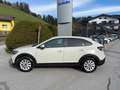 Volkswagen Taigo 1.0 TSI Austria Edition *AHV* Grau - thumbnail 3
