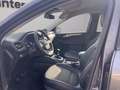 Ford Kuga 1.5 ecoboost Titanium X 2wd 150cv Grigio - thumbnail 14