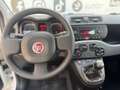 Fiat Panda Panda 0.9 TwinAir Turbo Natural Power Lounge Blanco - thumbnail 9