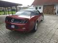 Ford Mustang Rot - thumbnail 8