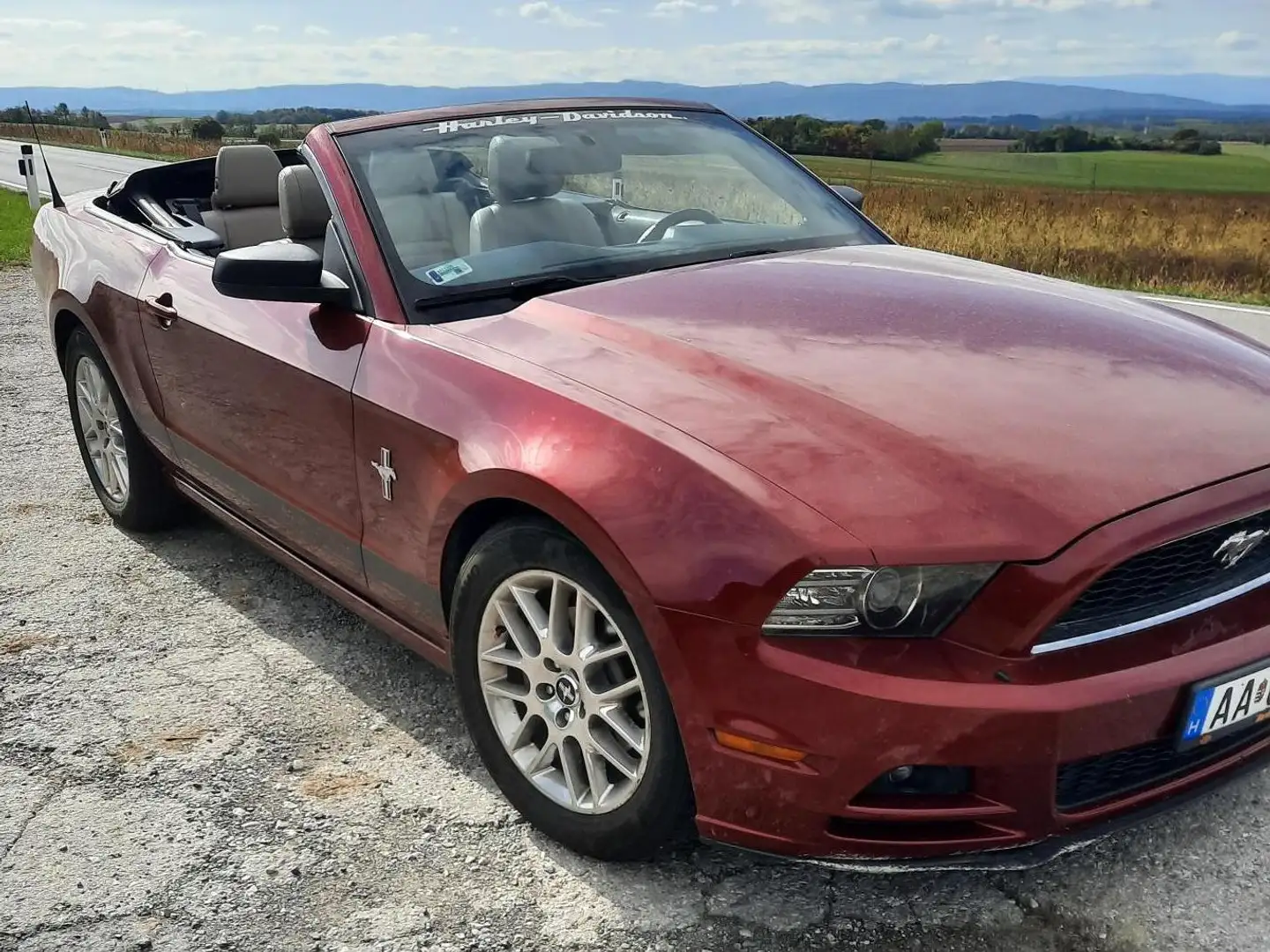 Ford Mustang Rot - 1