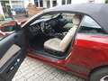 Ford Mustang Rot - thumbnail 13