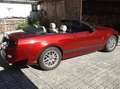Ford Mustang Rot - thumbnail 6