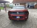 Ford Mustang Rot - thumbnail 7