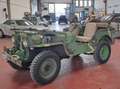 Jeep Willys M38 OVERLAND Verde - thumbnail 3