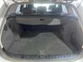 BMW 318 xDRIVE - CAMBIO AUTOMATICO Argento - thumbnail 14
