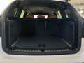 BMW X3 xDrive20d 48V Bianco - thumbnail 13