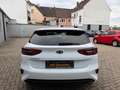 Kia Ceed / cee'd Vision 2.Hand+37TKM+WERKSGARANTIE Weiß - thumbnail 5