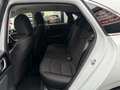 Kia Ceed / cee'd Vision 2.Hand+37TKM+WERKSGARANTIE Weiß - thumbnail 21