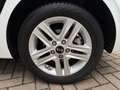 Kia Ceed / cee'd Vision 2.Hand+37TKM+WERKSGARANTIE Weiß - thumbnail 22
