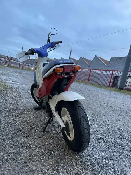 Honda EZ9 CUB - foto 4