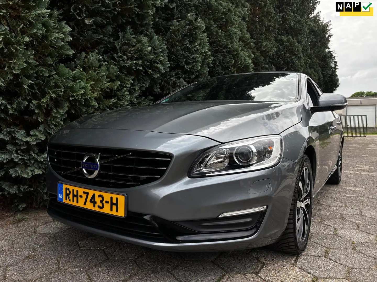 Volvo V60 1.5 T3 Polar+ Dynamic | Pano Szürke - 1