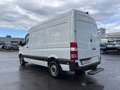Mercedes-Benz Sprinter 316 CDI,Kaste,L2H2,AHK 3,5T,Standhei,Net 13500€ Weiß - thumbnail 3
