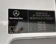 Mercedes-Benz Sprinter 316 CDI,Kaste,L2H2,AHK 3,5T,Standhei,Net 13500€ Weiß - thumbnail 14
