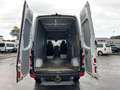 Mercedes-Benz Sprinter 316 CDI,Kaste,L2H2,AHK 3,5T,Standhei,Net 13500€ Weiß - thumbnail 7