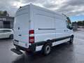 Mercedes-Benz Sprinter 316 CDI,Kaste,L2H2,AHK 3,5T,Standhei,Net 13500€ Weiß - thumbnail 6