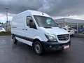 Mercedes-Benz Sprinter 316 CDI,Kaste,L2H2,AHK 3,5T,Standhei,Net 13500€ Weiß - thumbnail 5