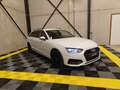 Audi A4 A4 2.0TDI Sport /LED/19"/CAM/Navi/Cruise Wit - thumbnail 6