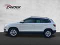 Skoda Karoq Ambition Sitzheizung Alu Climatronic Klima Alb - thumbnail 2