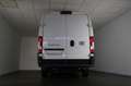 Fiat Ducato S2 Maxi35 L4H2 KaWa *RFK.KLIMA.LED-SW* Blanco - thumbnail 4