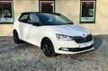Skoda Fabia Style PDC NAVI ü. CARPLAY/ANDROID Weiß - thumbnail 17