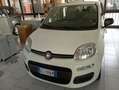 Fiat Panda Panda 1.0 firefly hybrid s- NEO PATENTATO Blanco - thumbnail 14