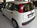 Fiat Panda Panda 1.0 firefly hybrid s- NEO PATENTATO Blanc - thumbnail 6