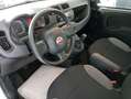 Fiat Panda Panda 1.0 firefly hybrid s- NEO PATENTATO Bianco - thumbnail 4