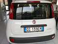 Fiat Panda Panda 1.0 firefly hybrid s- NEO PATENTATO Weiß - thumbnail 7