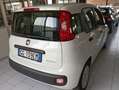 Fiat Panda Panda 1.0 firefly hybrid s- NEO PATENTATO Bianco - thumbnail 15