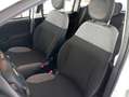 Fiat Panda Panda 1.0 firefly hybrid s- NEO PATENTATO Blanco - thumbnail 5