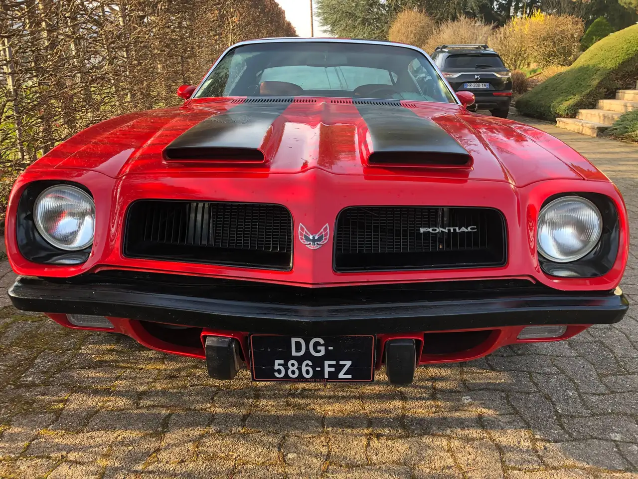 Pontiac Firebird Formula 400, foto 2