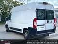 Fiat Ducato Hochr.-Kasten 35 Klima Anhängerkupplung Rückfahrka Weiß - thumbnail 11