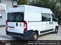 Fiat Ducato Hochr.-Kasten 35 Klima Anhängerkupplung Rückfahrka Weiß - thumbnail 9