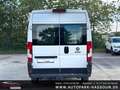 Fiat Ducato Hochr.-Kasten 35 Klima Anhängerkupplung Rückfahrka Weiß - thumbnail 10