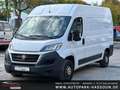 Fiat Ducato Hochr.-Kasten 35 Klima Anhängerkupplung Rückfahrka Weiß - thumbnail 1