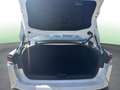 Toyota Mirai Luxury 180FCV Blanco - thumbnail 16
