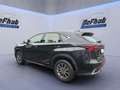 Lexus NX 300 h Amazing Edition*LED*SHZ*PDC* Negro - thumbnail 14