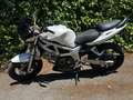 Suzuki SV 650 1999-2002 Fehér - thumbnail 1