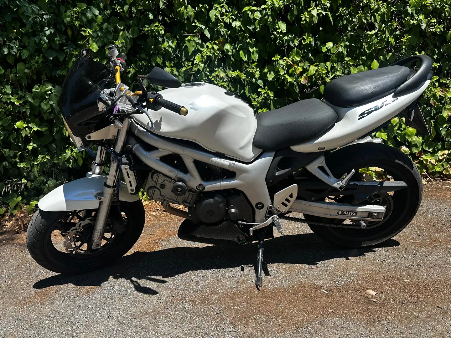 Suzuki SV 650 1999-2002 Alb - 1