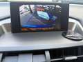 Lexus NX 300h Business Line Automaat Navi Camera Blauw - thumbnail 5
