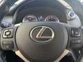 Lexus NX 300h Business Line Automaat Navi Camera Blauw - thumbnail 10