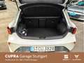 CUPRA Leon CUPRA Leon 1.5 eTSI 110 kW (150 PS) 7-Gang-DSG / Grigio - thumbnail 13